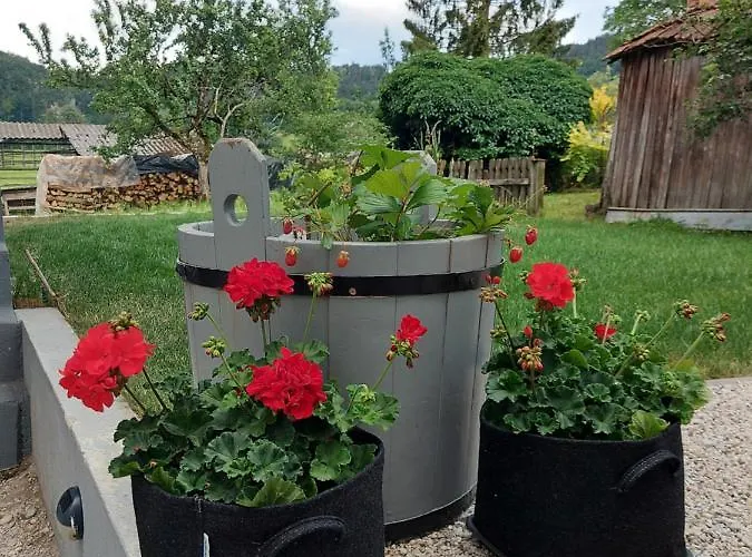 Pr' Sovarjo Apartamento